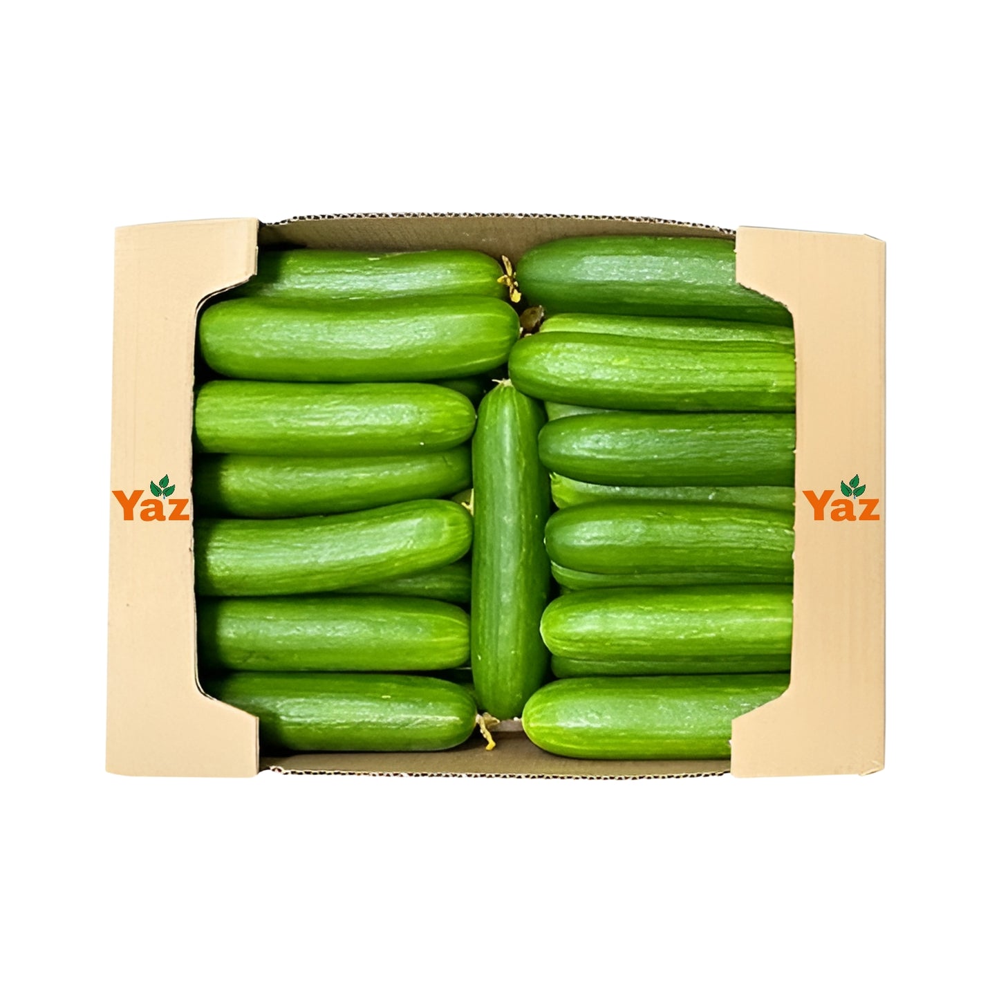 Mini Cucumbers Fresh 3kg