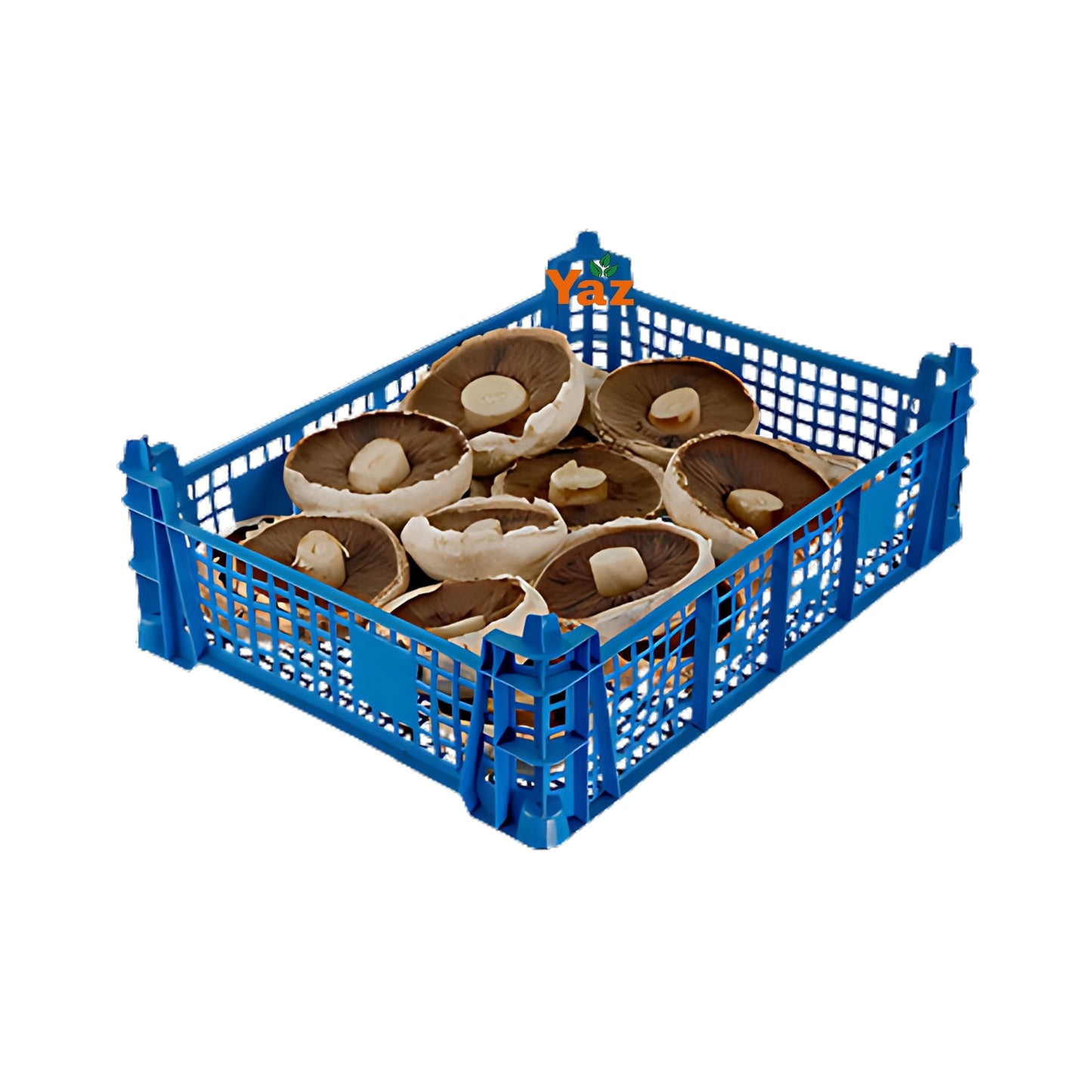 Flat Mushrooms Fresh Approximately 1.8kg