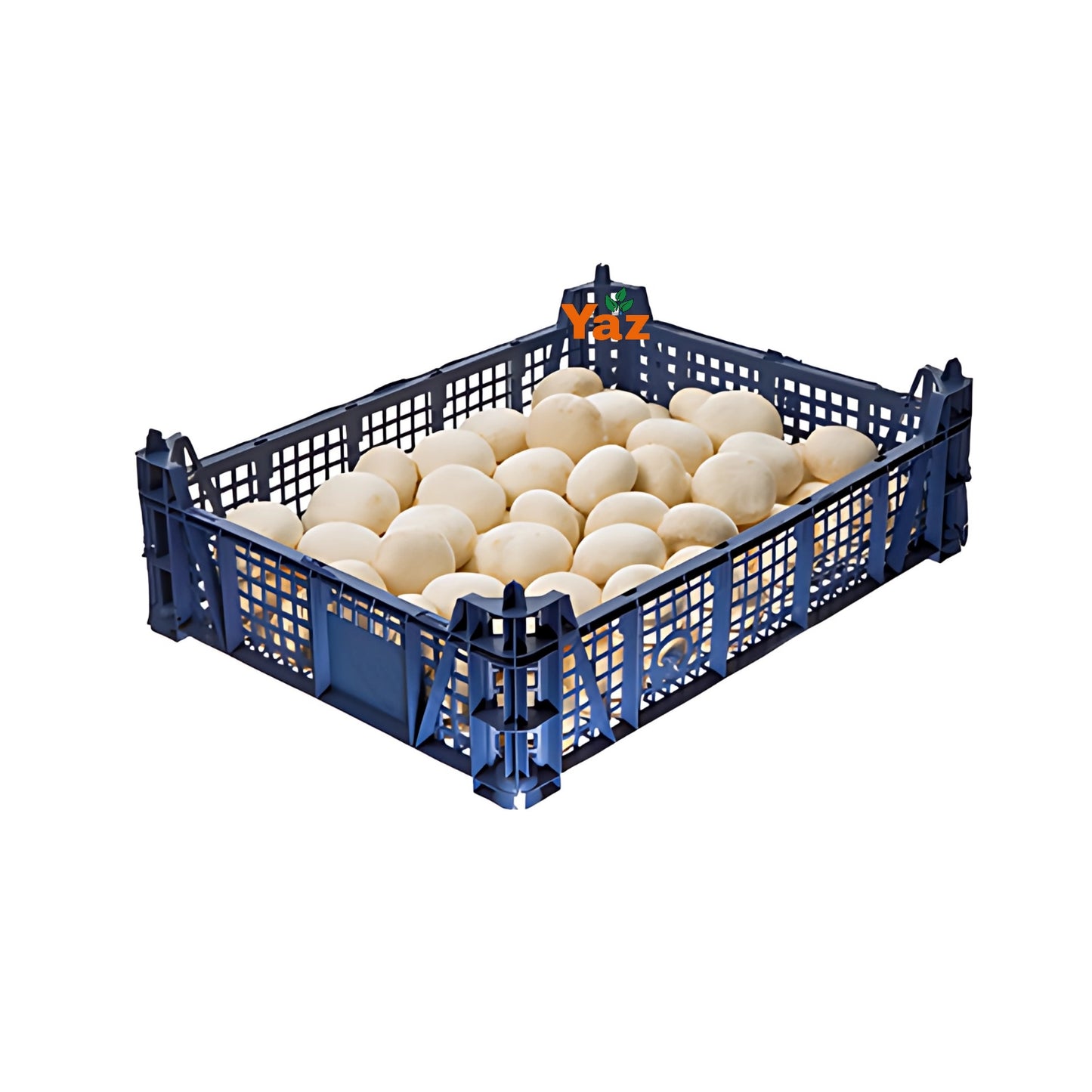Cup Mushroom Fresh Approximately 2.5kg