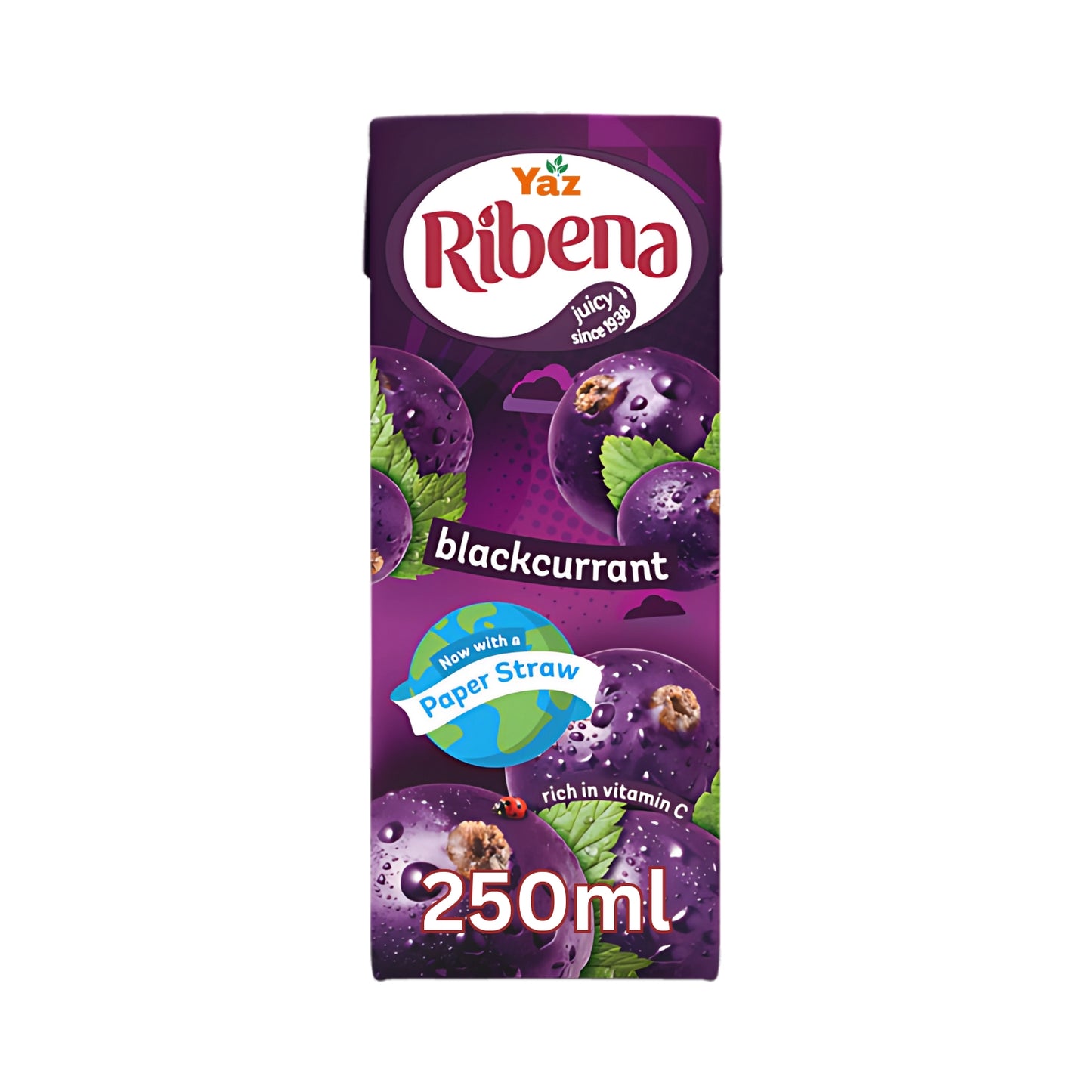 Ribena Blackcurrant in Cartons 24x250ml