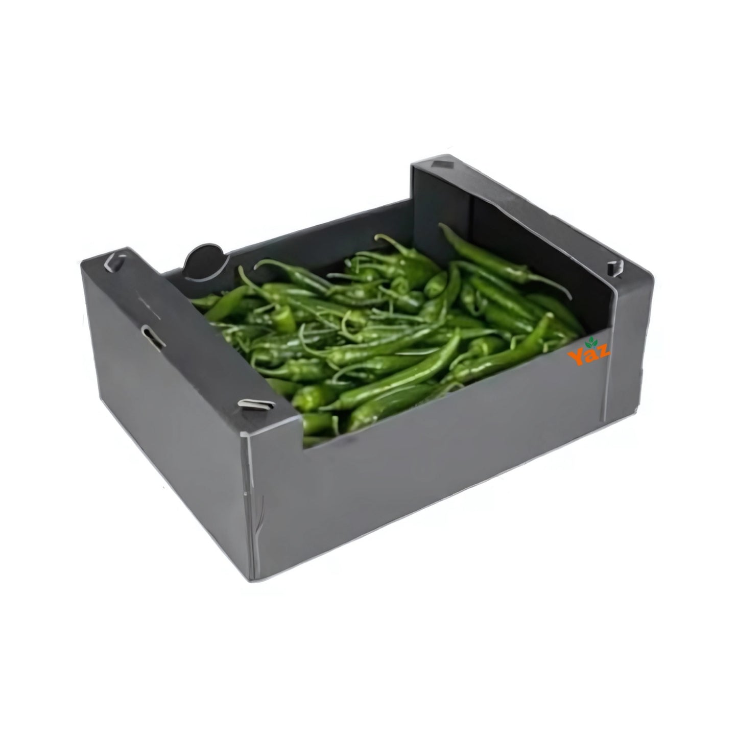 Green Chilli Peppers Fresh 1x3kg
