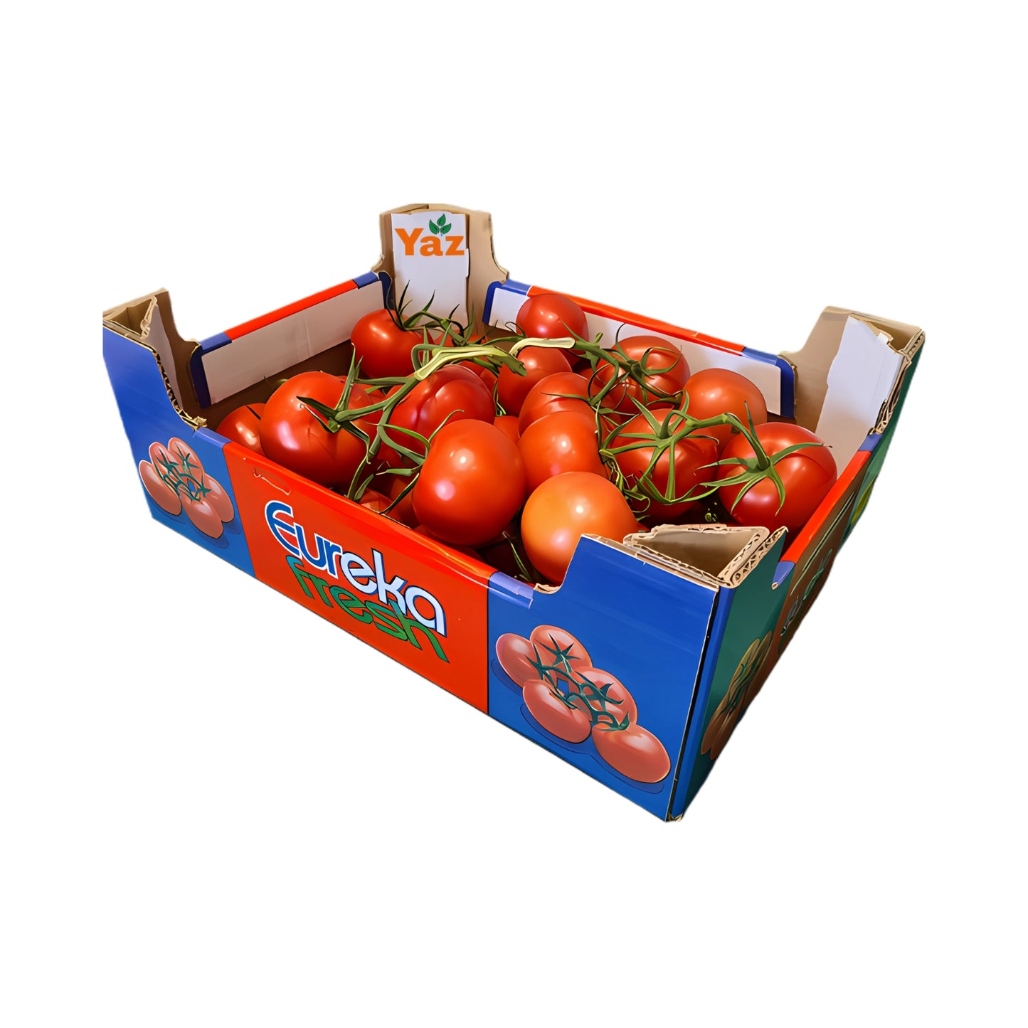 Vine Tomato Fresh 5kg