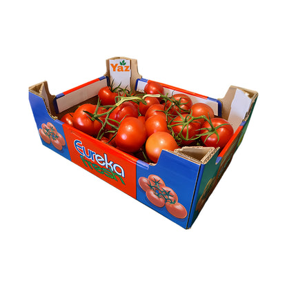 Vine Tomato Fresh 5kg