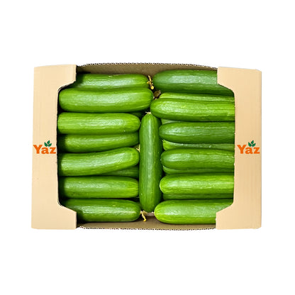Mini Cucumbers Fresh 3kg