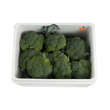Broccoli Crowns Fresh in Iced Box 1x6kg