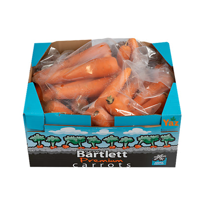 Carrot Fresh in Box 1x10kg