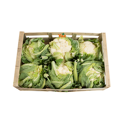 Cauliflower Fresh Approximately  6-8 Pieces in a Crate