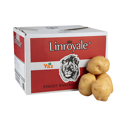 Medium Jacket Potatoes (40s) Fresh 15kg