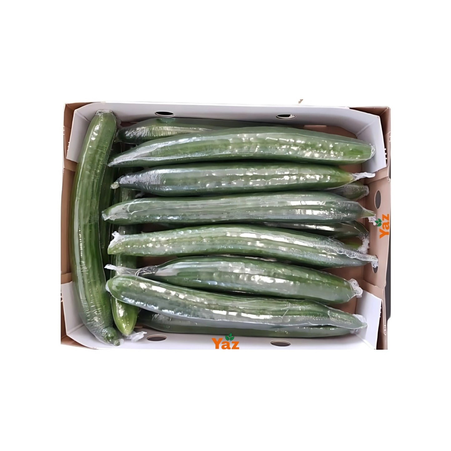Long Cucumbers Fresh Approximately 12-16 Pieces