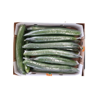 Long Cucumbers Fresh Approximately 12-16 Pieces