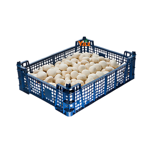 Button Mushrooms Fresh Approximately 2.5kg