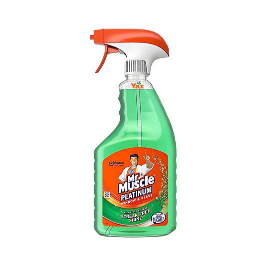 Mr Muscle Window and Glass Cleaner 1x750ml