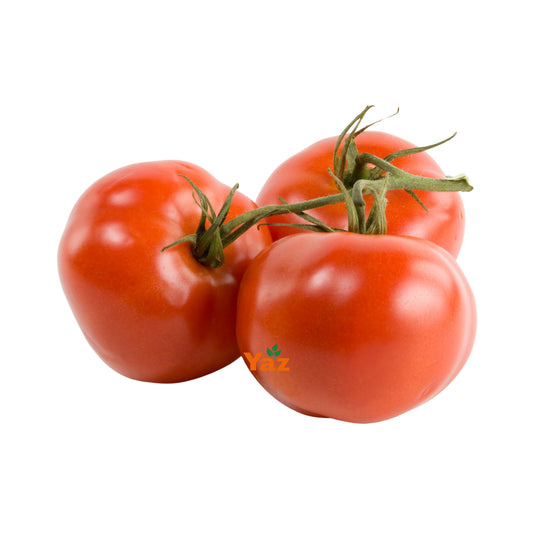 Vine Tomato Fresh 5kg