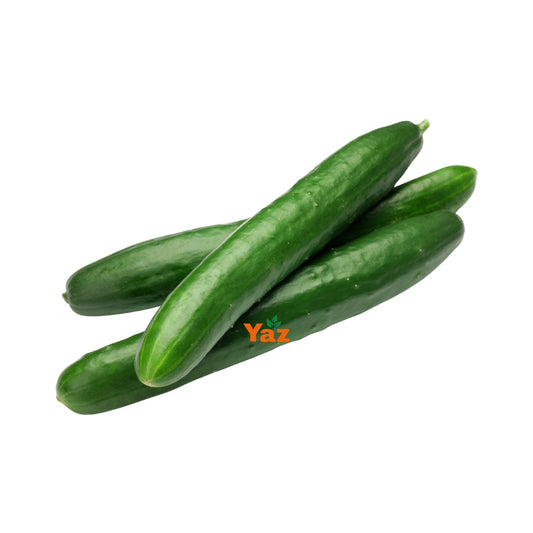 Long Cucumbers Fresh Approximately 12-16 Pieces
