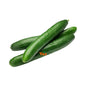 Long Cucumbers Fresh Approximately 12-16 Pieces
