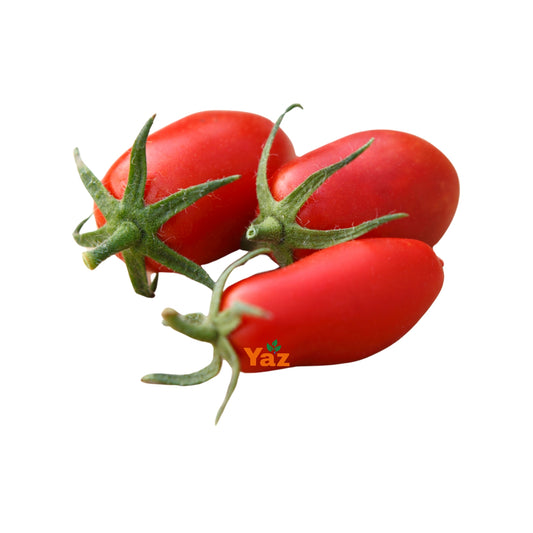 Plum Vine Tomato Fresh 5kg
