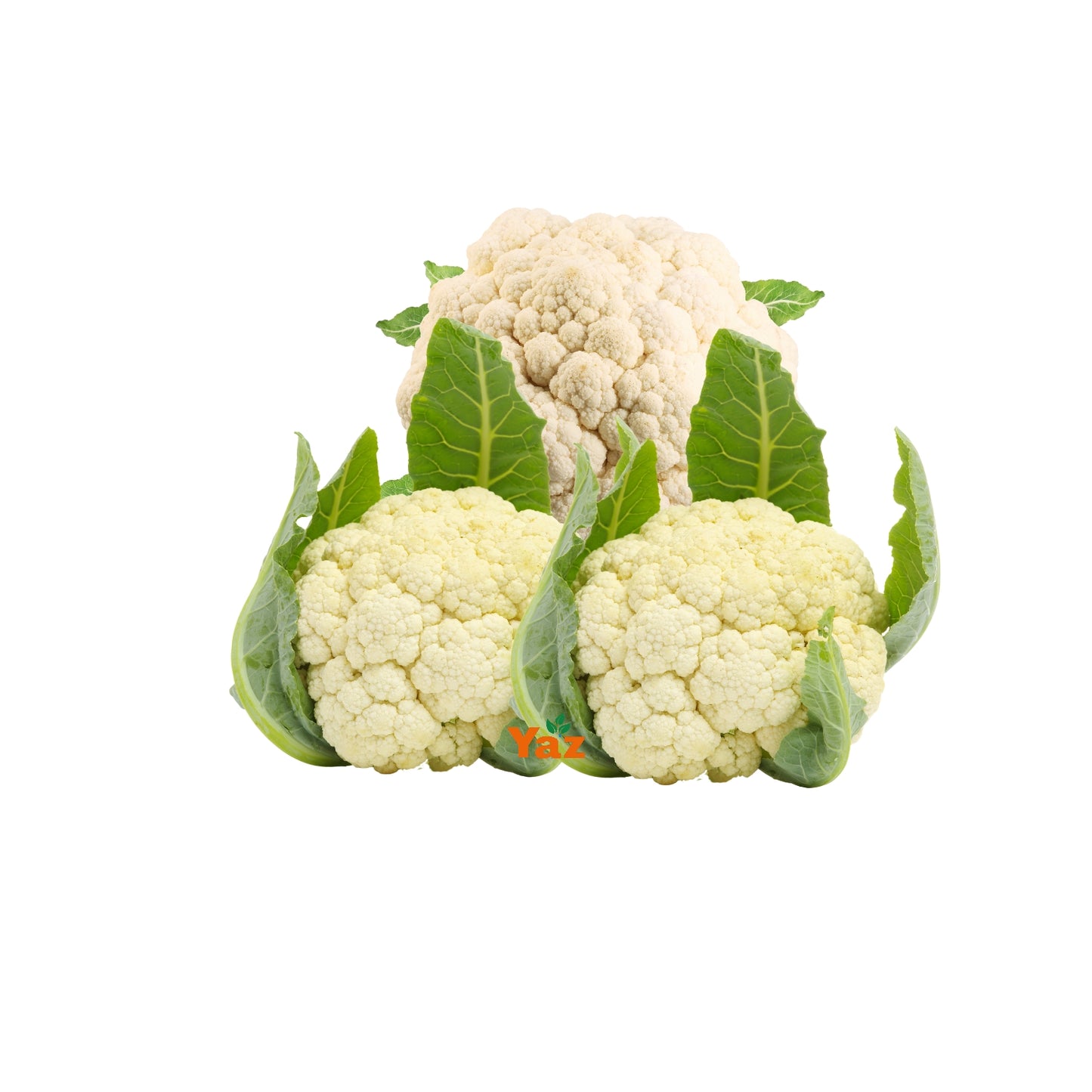 Cauliflower Fresh Approximately  6-8 Pieces in a Crate
