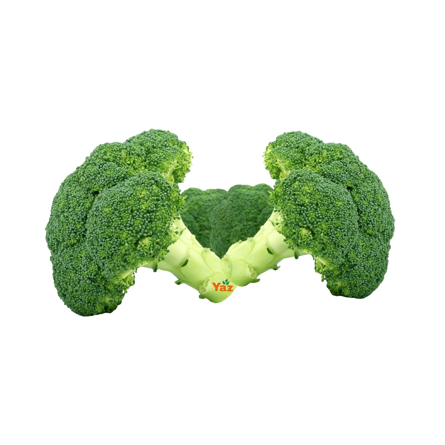 Broccoli Crowns Fresh in Iced Box 1x6kg