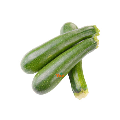 Green Courgette Fresh 1x5kg