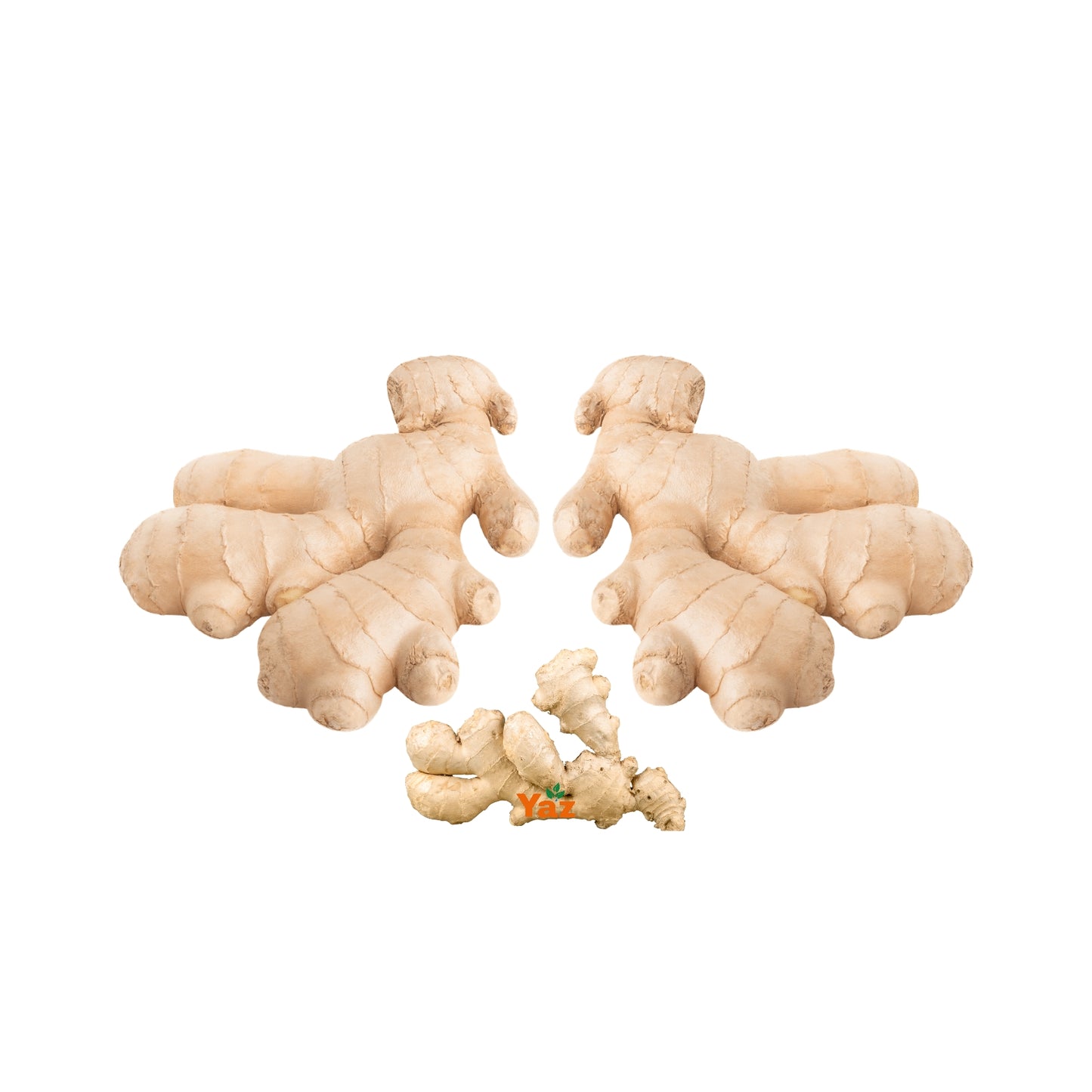 Ginger Roots Fresh 1x10kg