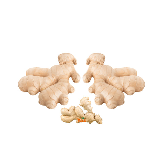Ginger Roots Fresh 1x10kg