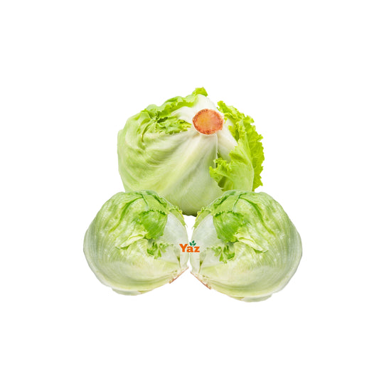 Iceberg Lettuce Fresh Approximately 10-12 Pieces