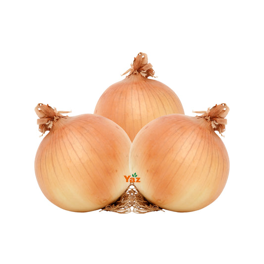 Spanish Onions Large Fresh 1x20kg