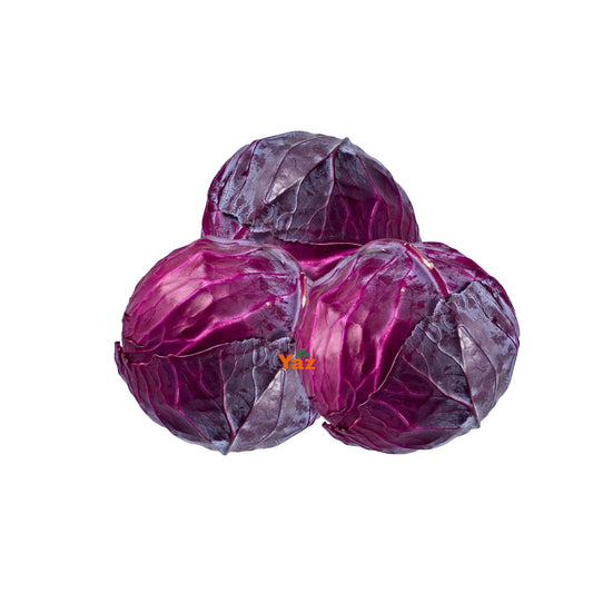 Red Cabbage Large Fresh 1x25kg