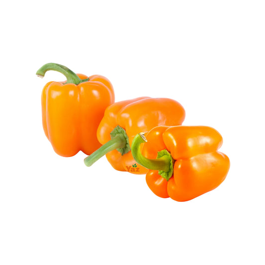 Orange Capsicum Bell Peppers Fresh Approximately 5kg