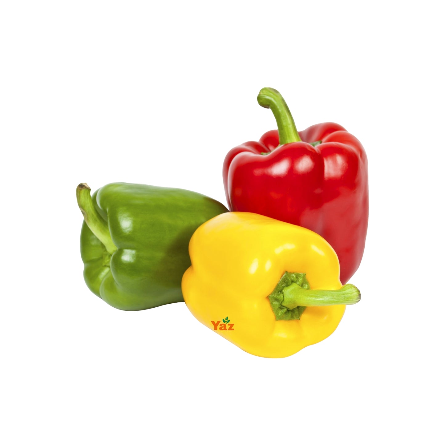 Mix Capsicum Bell Peppers Fresh 12x400g
