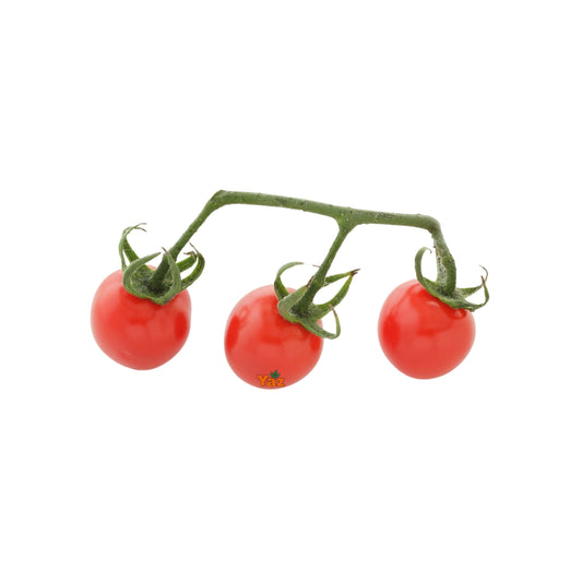 Cherry Vine Tomato Fresh 3kg