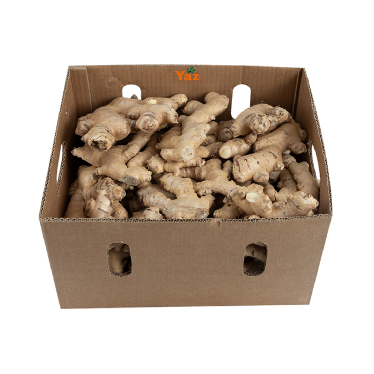 Ginger Roots Fresh 1x10kg